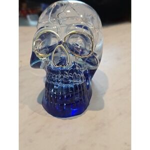 3D Human Head Light Up Skull Decoration Gift Blue Clear 667